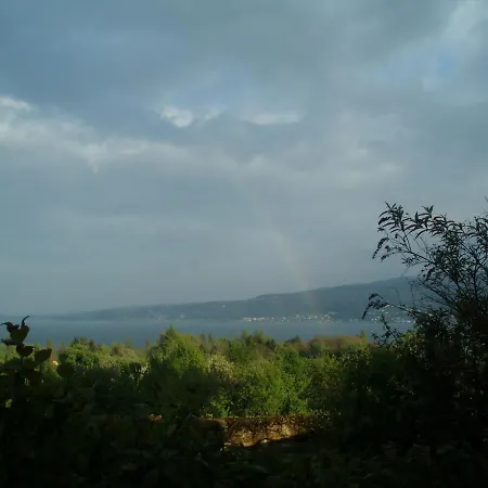 霍尔霍恩公寓 公寓 盖恩霍芬