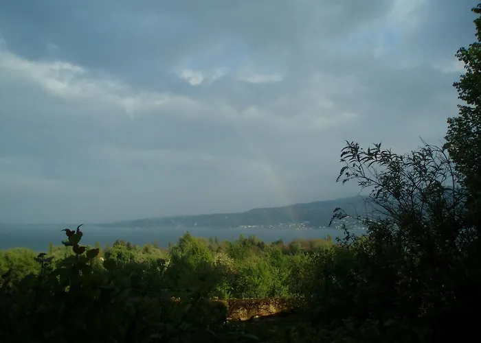 霍尔霍恩公寓 公寓 盖恩霍芬