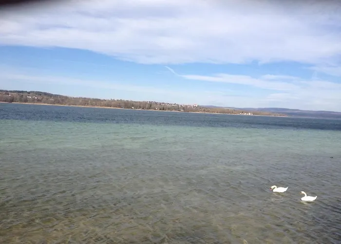 霍尔霍恩公寓 公寓