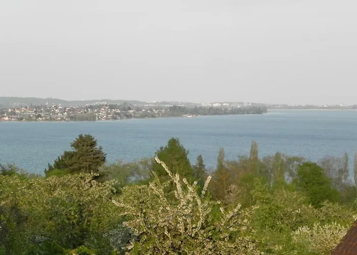 公寓 霍尔霍恩公寓 *